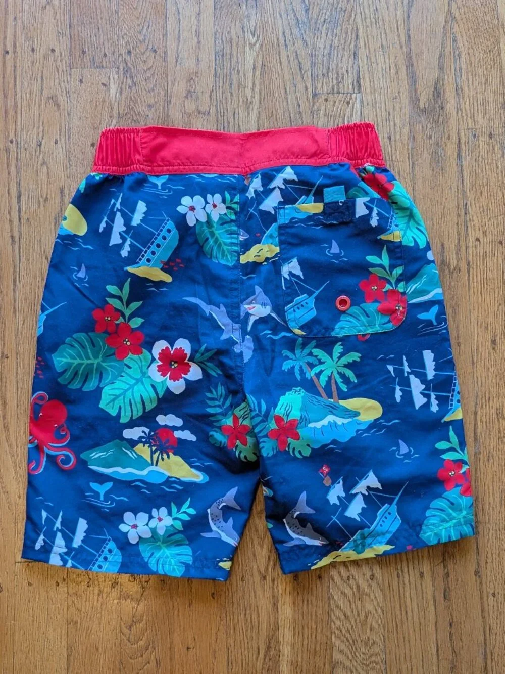 Mini Boden Swim Trunks